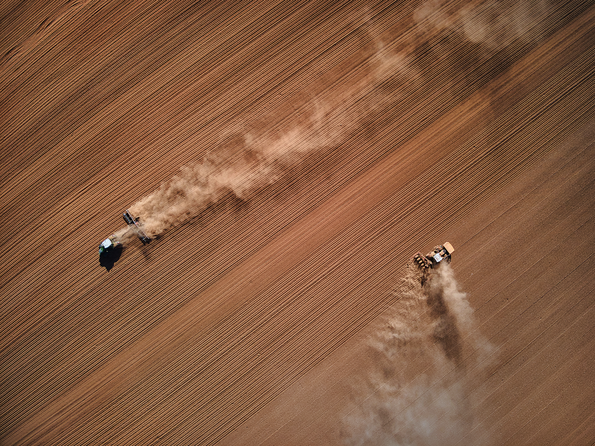 En 2021, lors d’un épisode de sécheresse intense au Royaume-Uni, les agriculteurs soulèvent des nuages de poussière en préparant leurs champs. Photo: Red Zeppelin